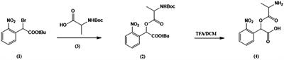 Pre-steady-state Kinetic Analysis of Amino Acid Transporter SLC6A14 Reveals Rapid Turnover Rate and Substrate Translocation